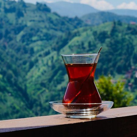 Pathika Bungalov Çamlıhemşin Exteriör bild