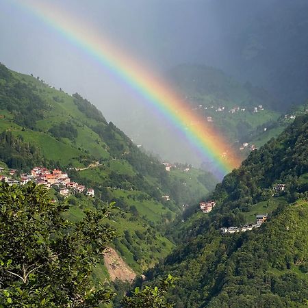 Pathika Bungalov Çamlıhemşin Exteriör bild